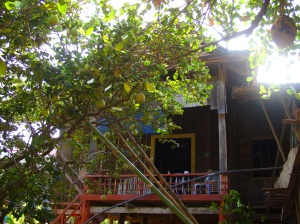 Front side of Pomelo Homestay with pomelo tree and balcony and door